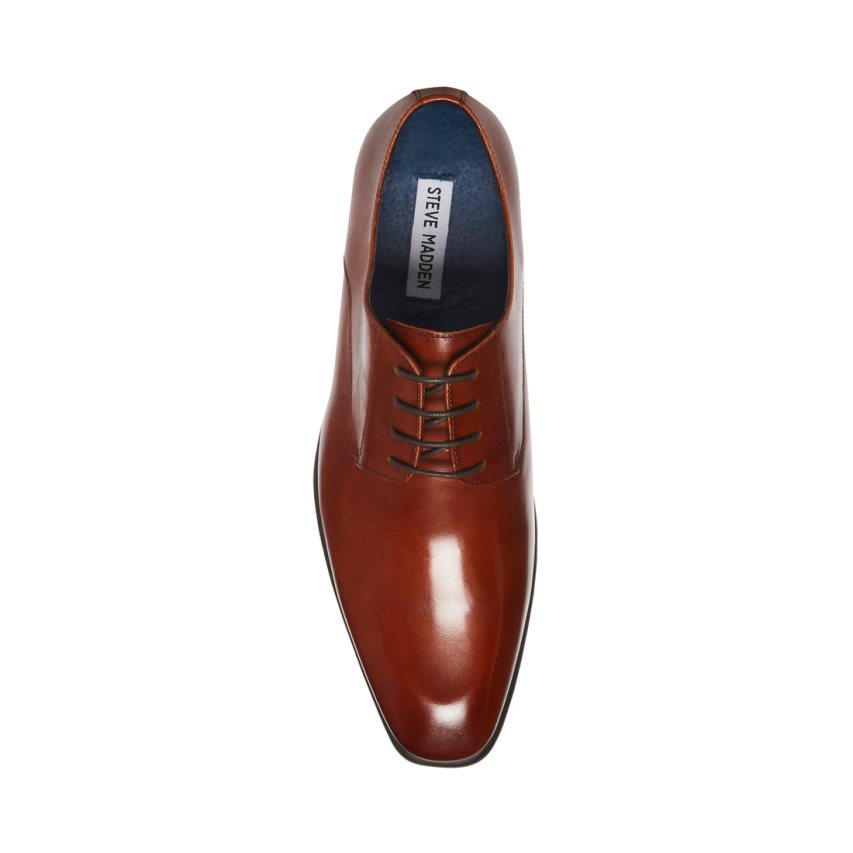 Zapatos Derby Steve Madden Beaux Cuero Hombre Marrones Oscuro | ES HAE914